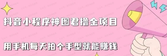 神图君抖音壁纸项目，很多人已经月入过万了！-掘金号